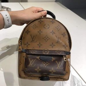 Louis Vuitton PALM SPRINGS MINI